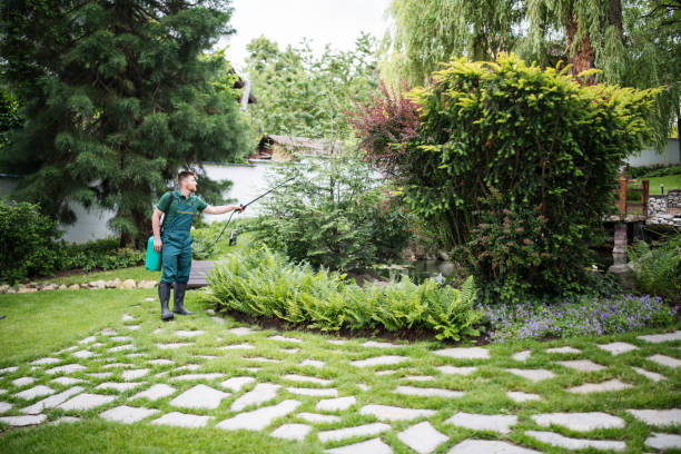 Best Lawn Grading and Leveling  in Tillamook, OR